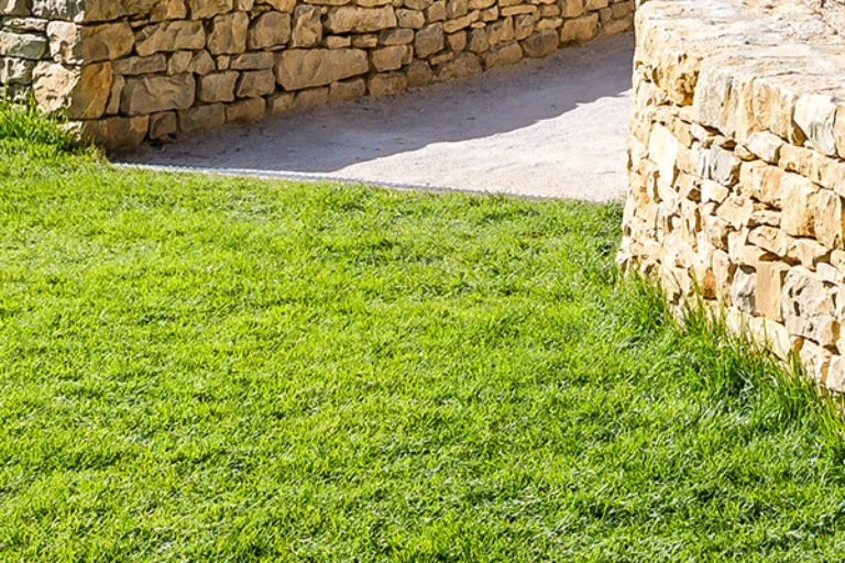 Chloris Garden Paysagiste Mougins Construction Amenagement 6