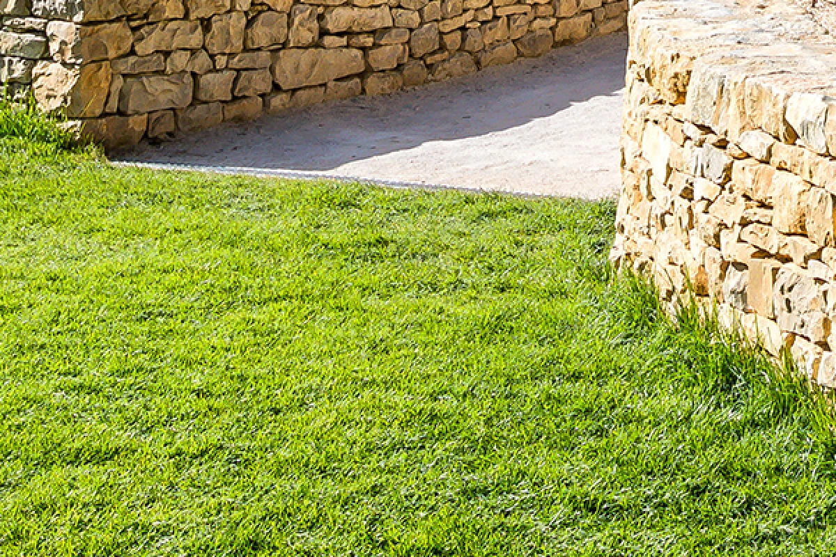 Chloris Garden Paysagiste Mougins Construction Amenagement 6