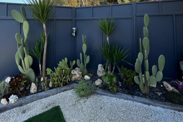 Chloris Garden Paysagiste Mougins Creation Paysagere 9